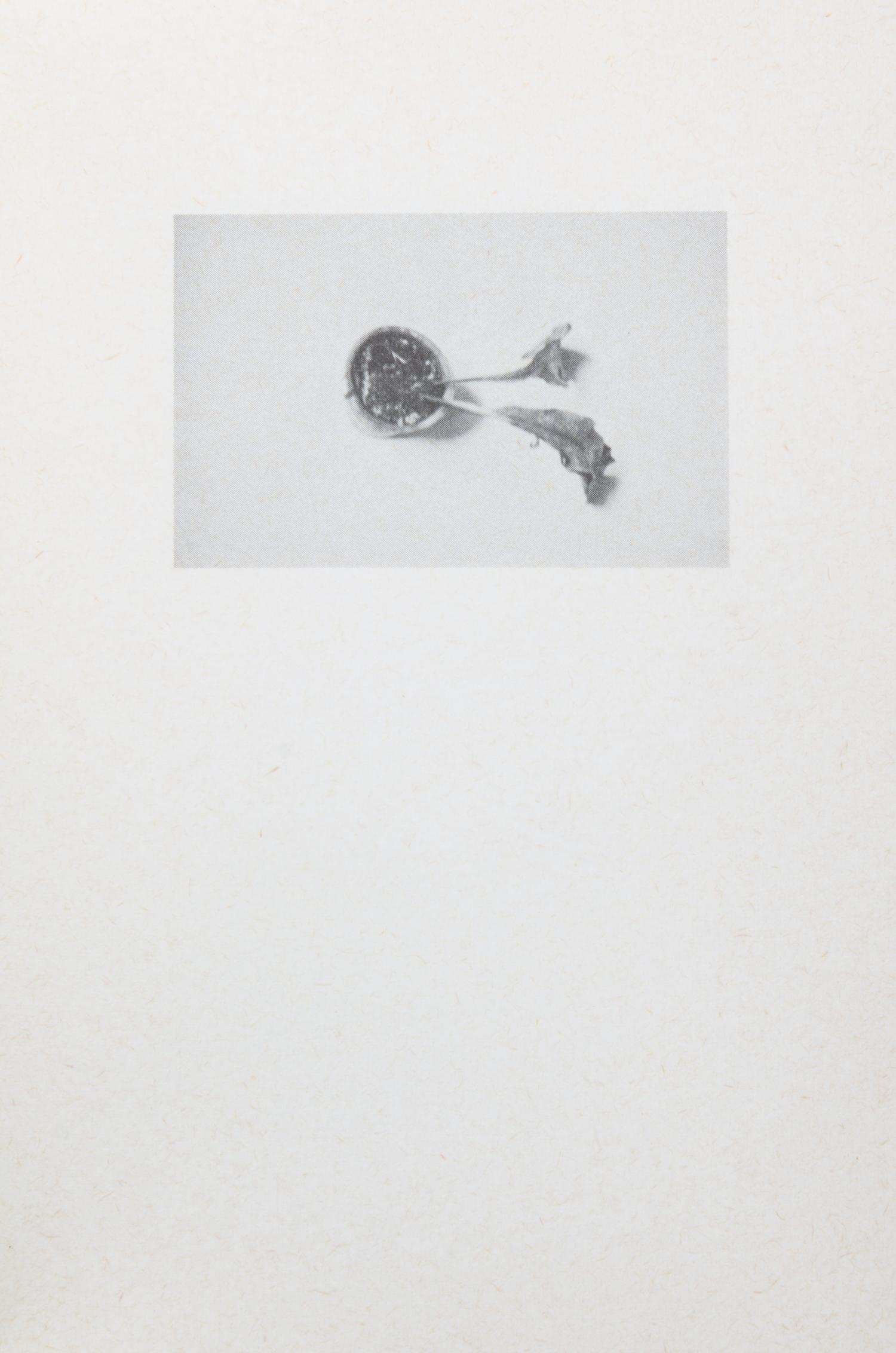ADAMSKI, HANS PETER. Two works: Nine objects that remind me of two faces [and] The Hope/Die Hoffnung. [s.l.], 1975, 1976.