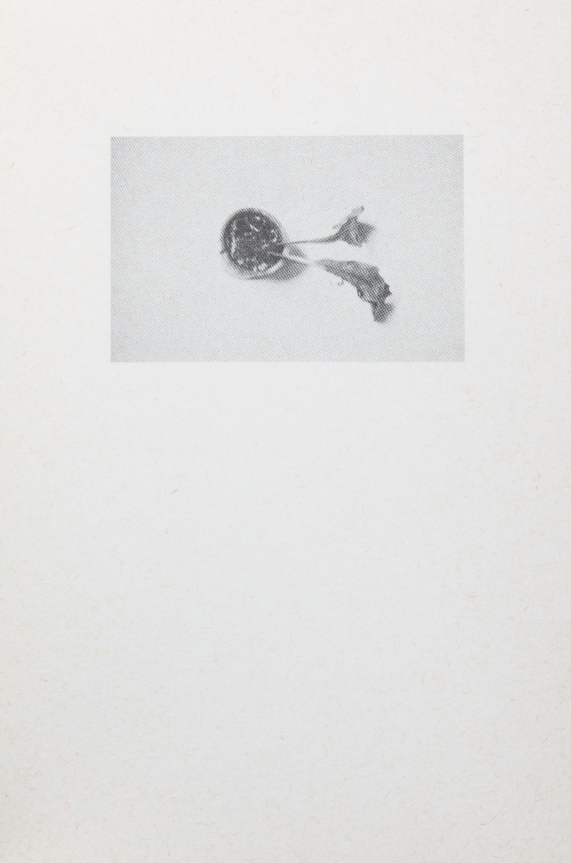 ADAMSKI, HANS PETER. Two works: Nine objects that remind me of two faces [and] The Hope/Die Hoffnung. [s.l.], 1975, 1976.