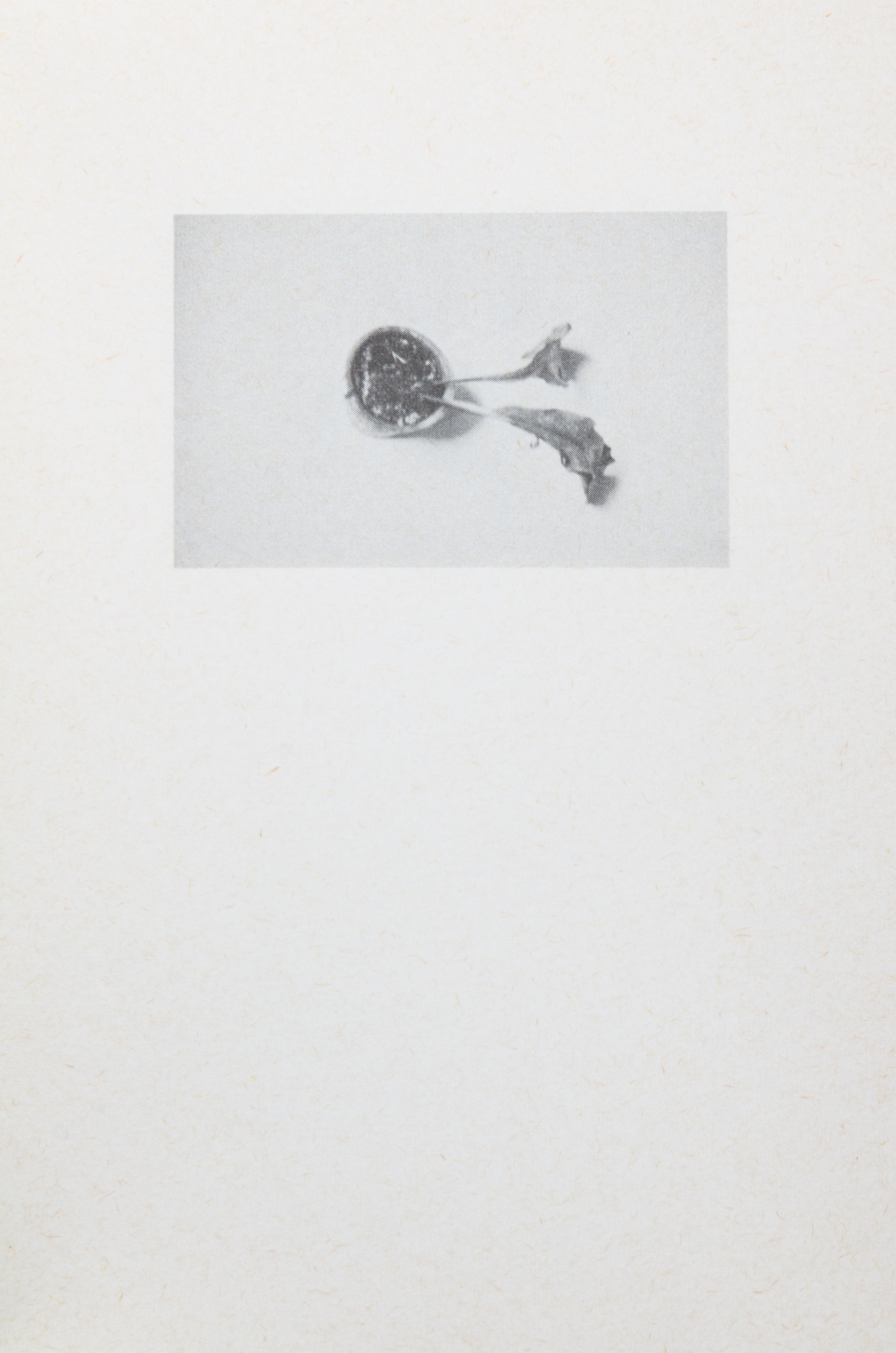 ADAMSKI, HANS PETER. Two works: Nine objects that remind me of two faces [and] The Hope/Die Hoffnung. [s.l.], 1975, 1976.