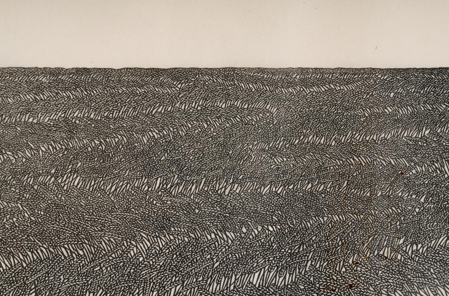 Wheatfield