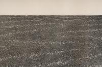 Wheatfield