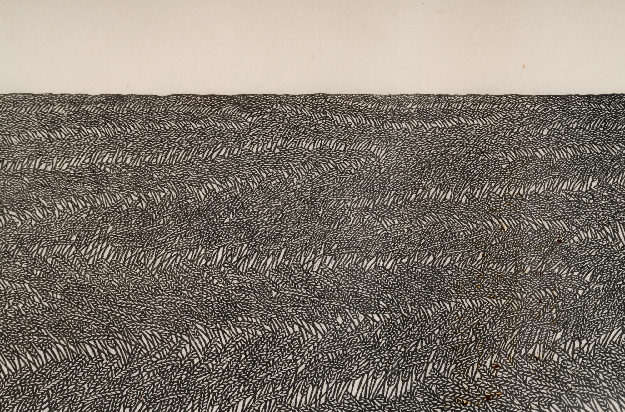 Wheatfield