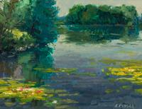 Lilies on the Water