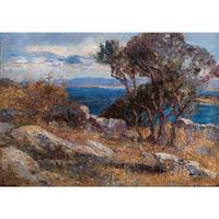 Olives in Lussingrande