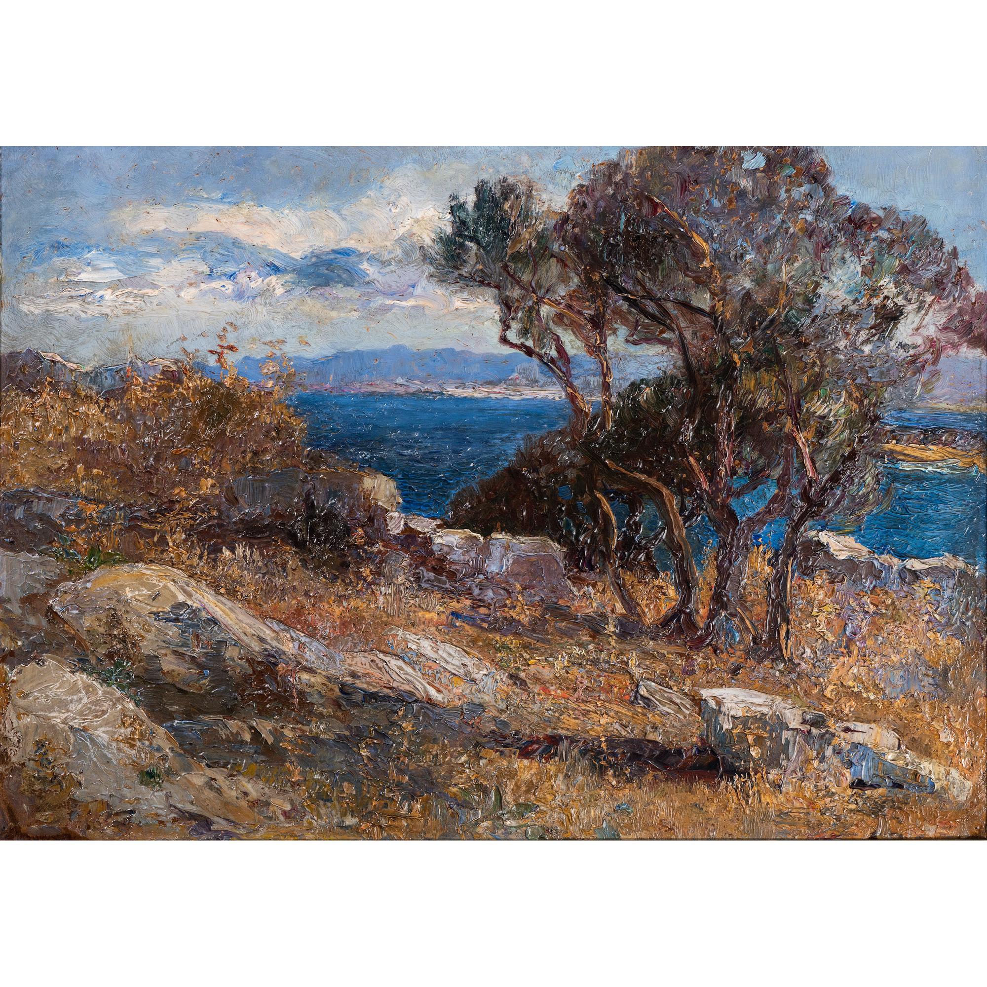 Olives in Lussingrande