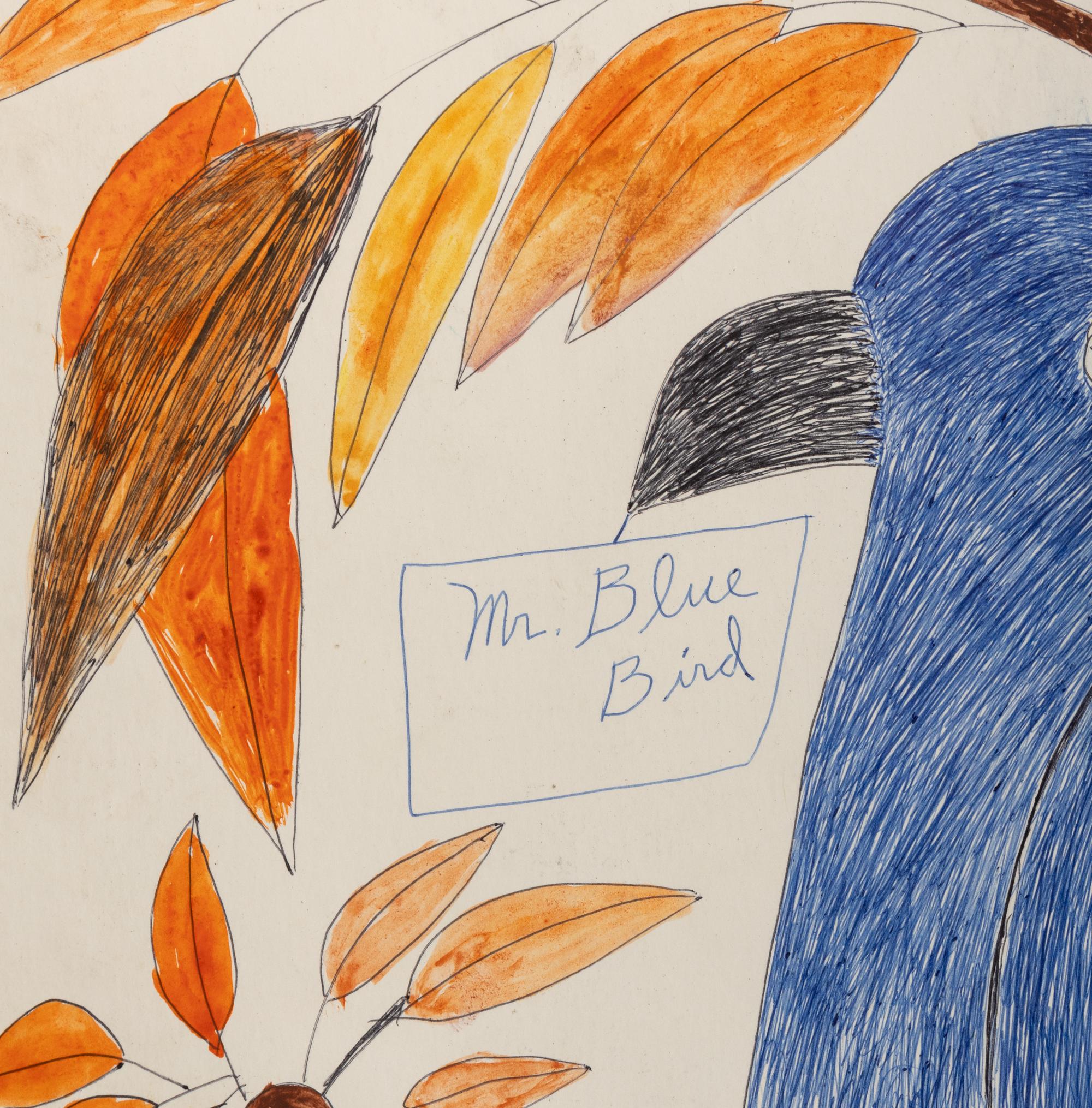 Mr. Blue Bird