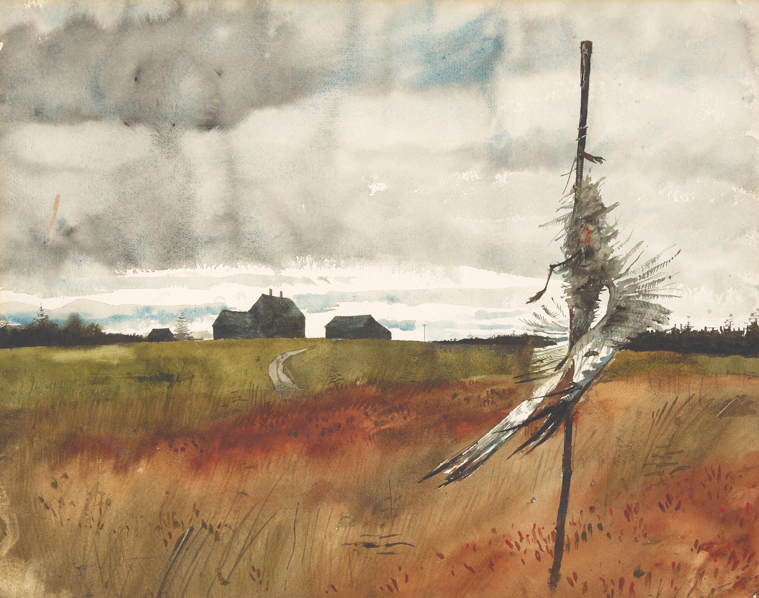 Blueberry Fields, Olson House (Cushing, Maine) , 1964