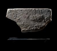 A Roman Marble Relief Fragment