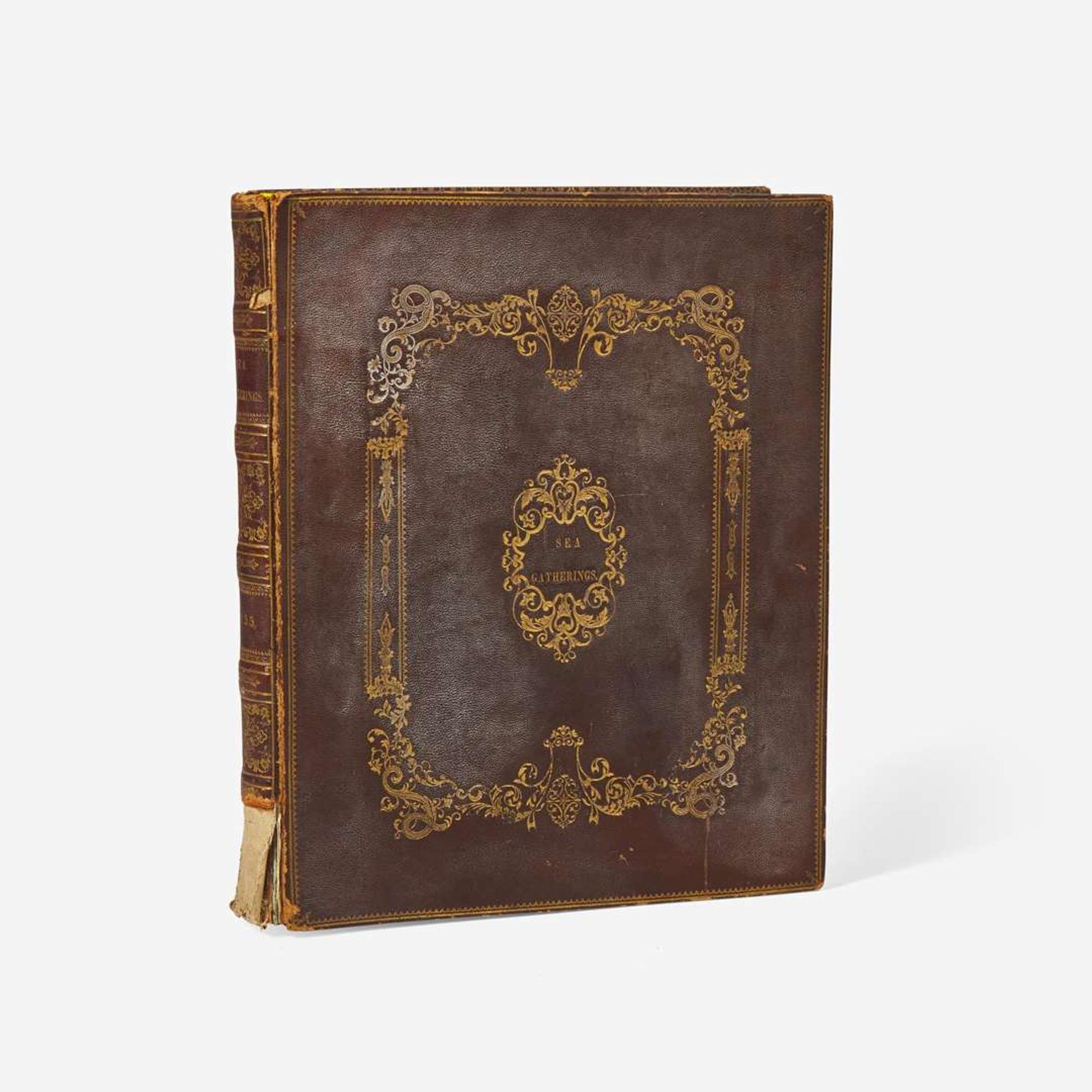 [Curiosa] Miner, Harriet 19th Century Seaweed Specimen Album