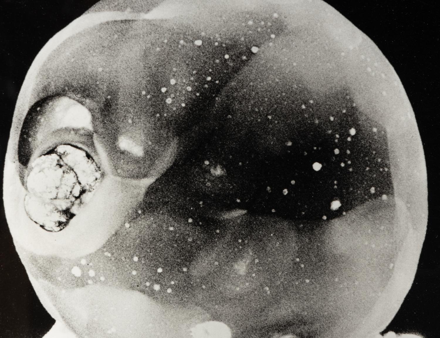 Dr. Harold Edgerton (1903-1990) Explosion of the Atomic Bomb, c. 1945