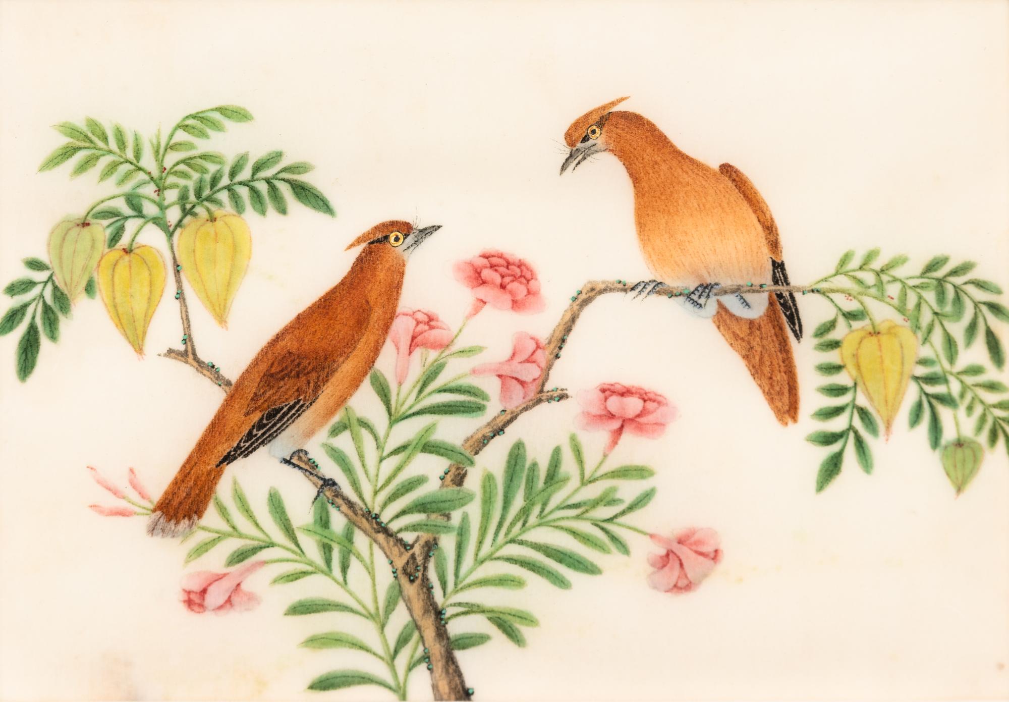 A Collection of Twelve Chinese Export Pith Paintings