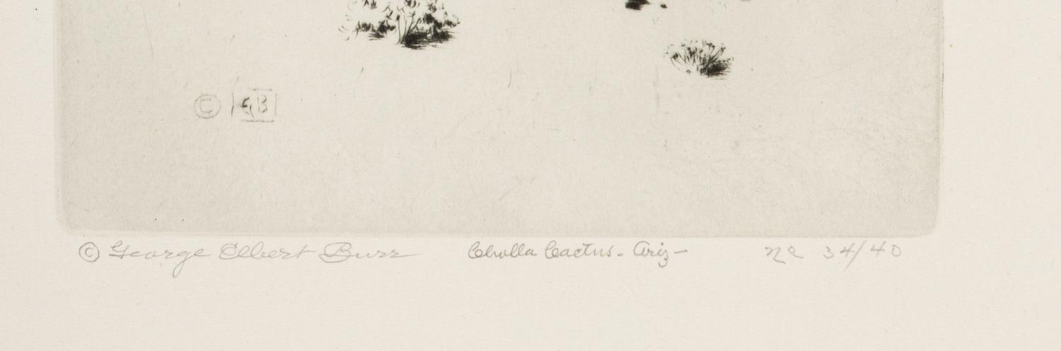 Two Works: Cholla Cactus, Arizona and Barrel Cactus