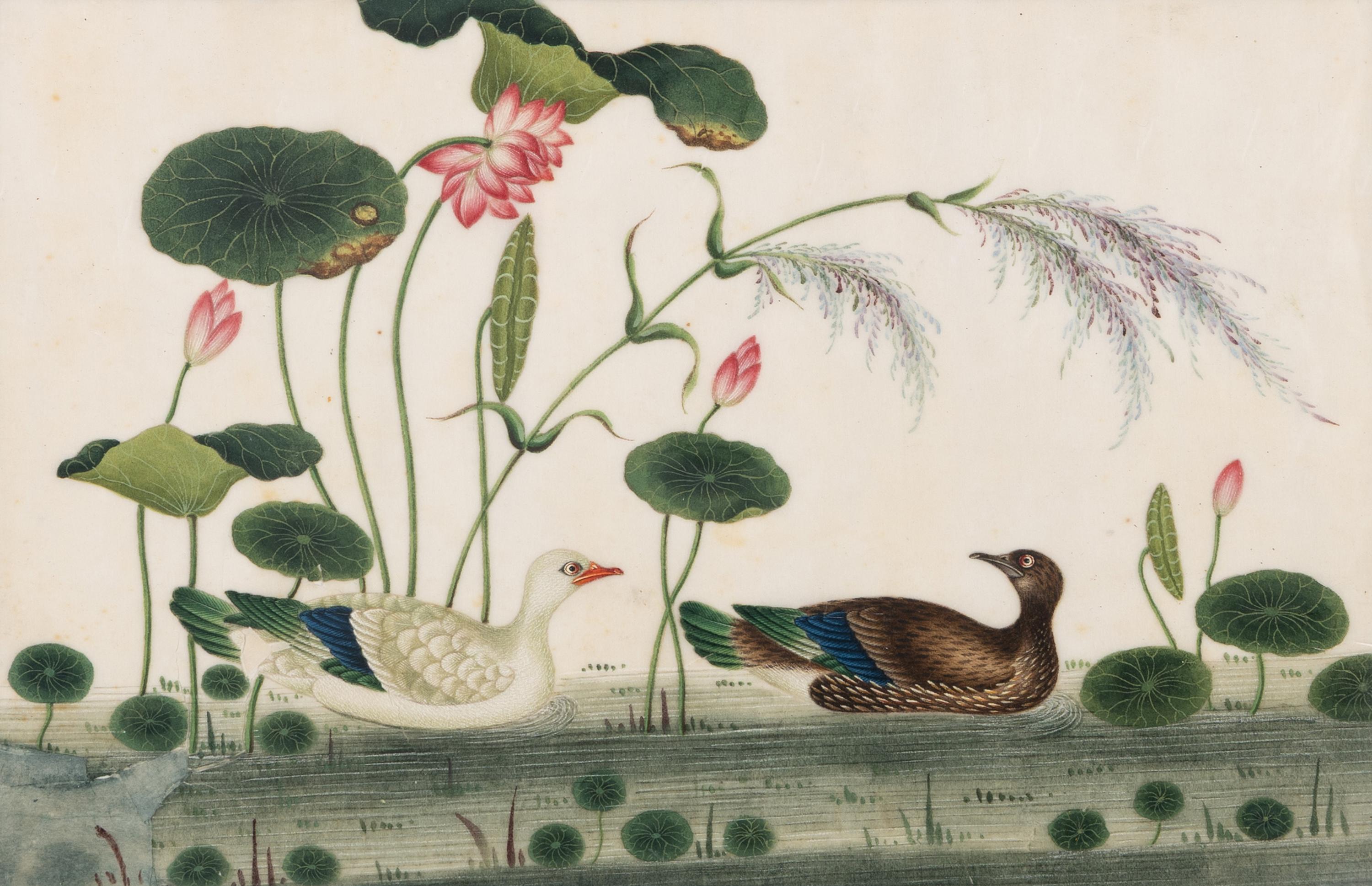 A Set of Twelve Chinese Export Watercolor and Pith Paintings