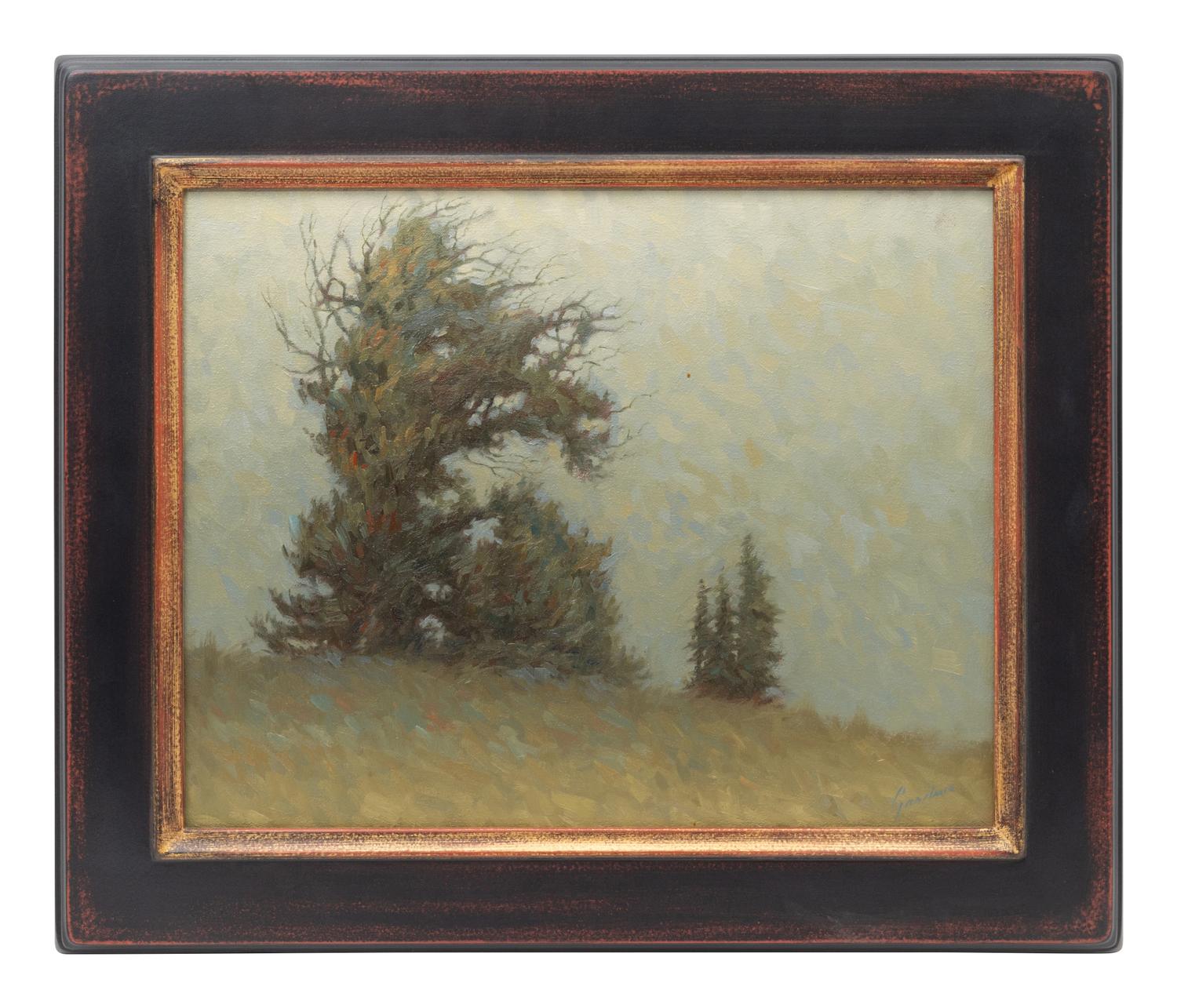 Reaching of the Pines, 2004
