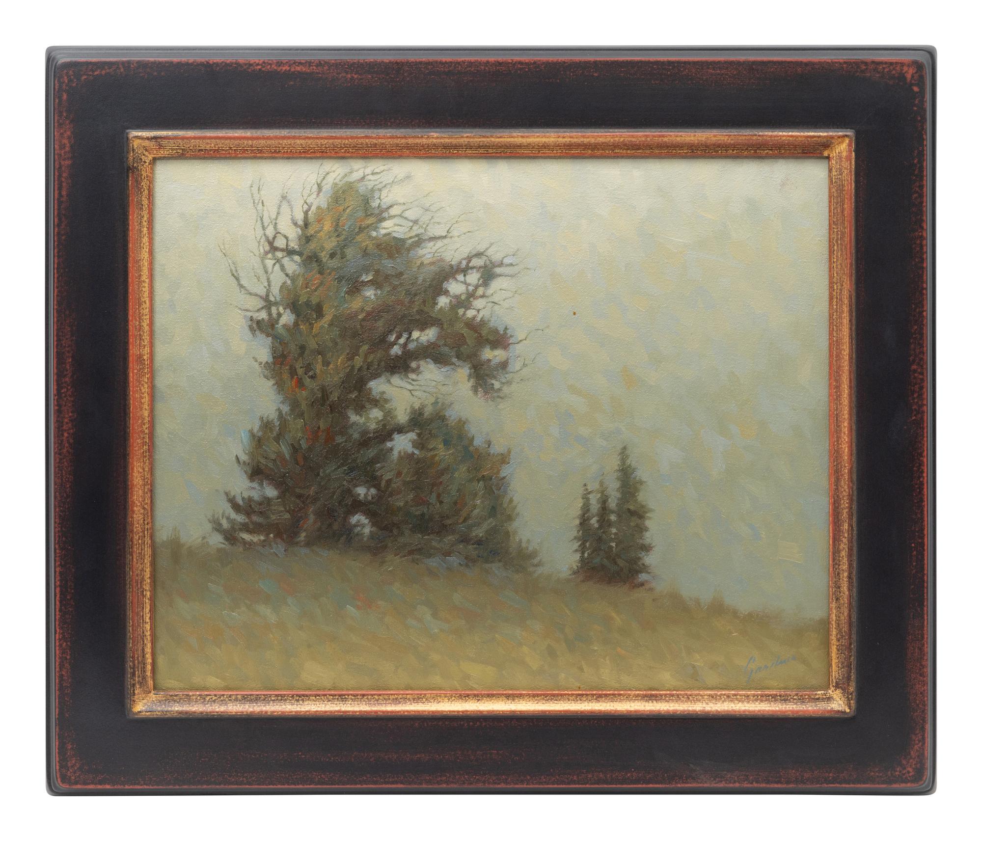 Reaching of the Pines, 2004
