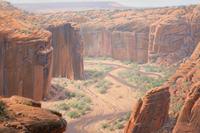 Almost Spring, Canyon de Chelly