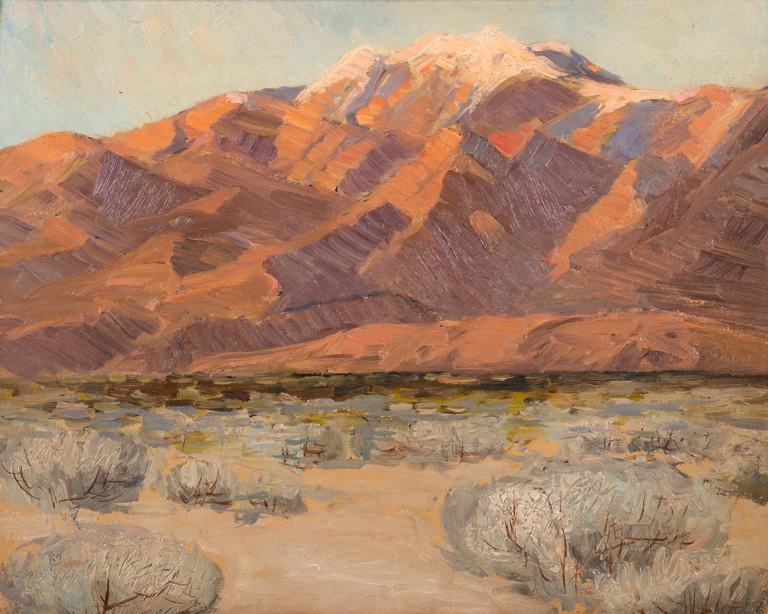 Evening in Desert