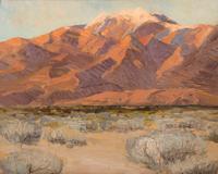 Evening in Desert