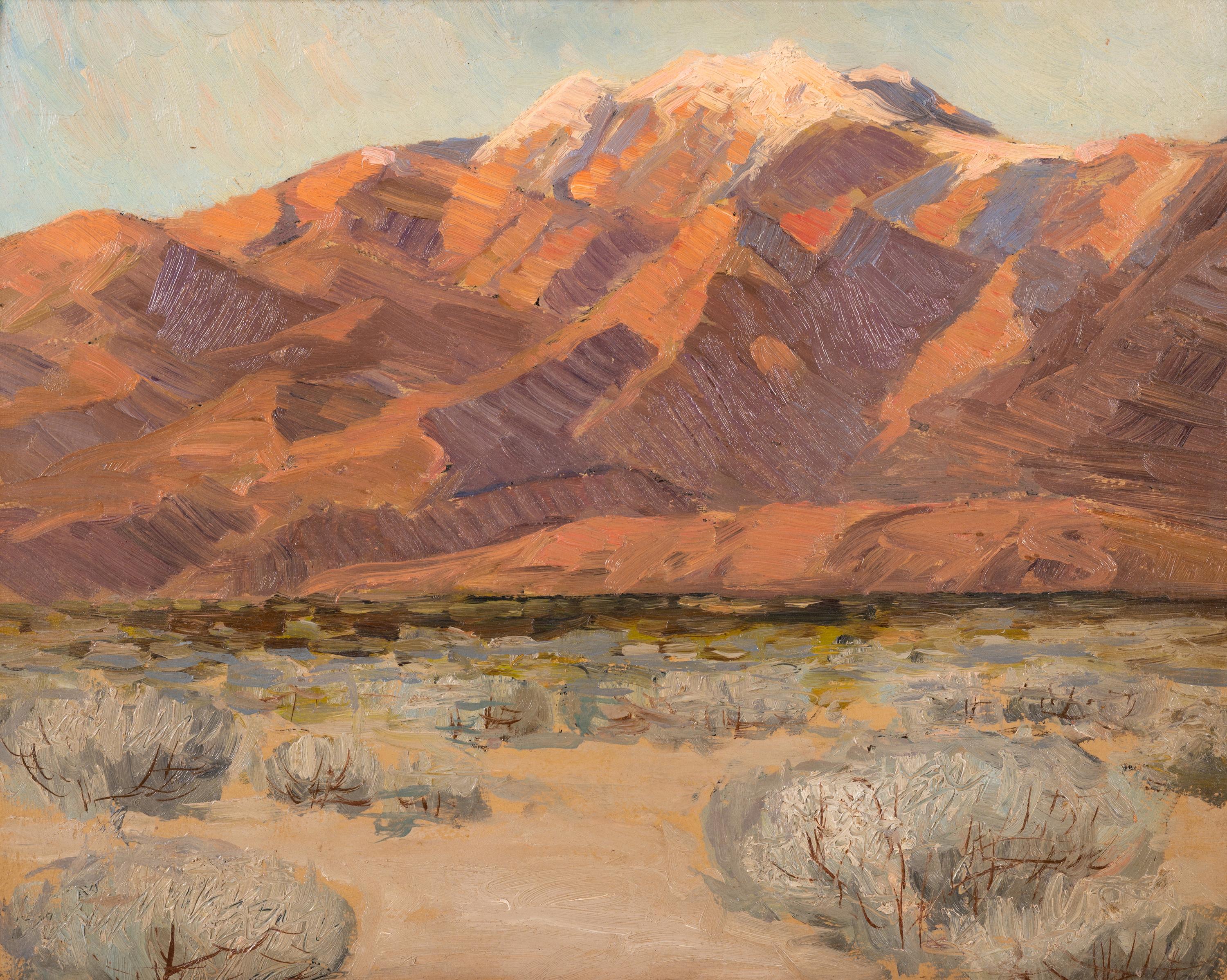 Evening in Desert