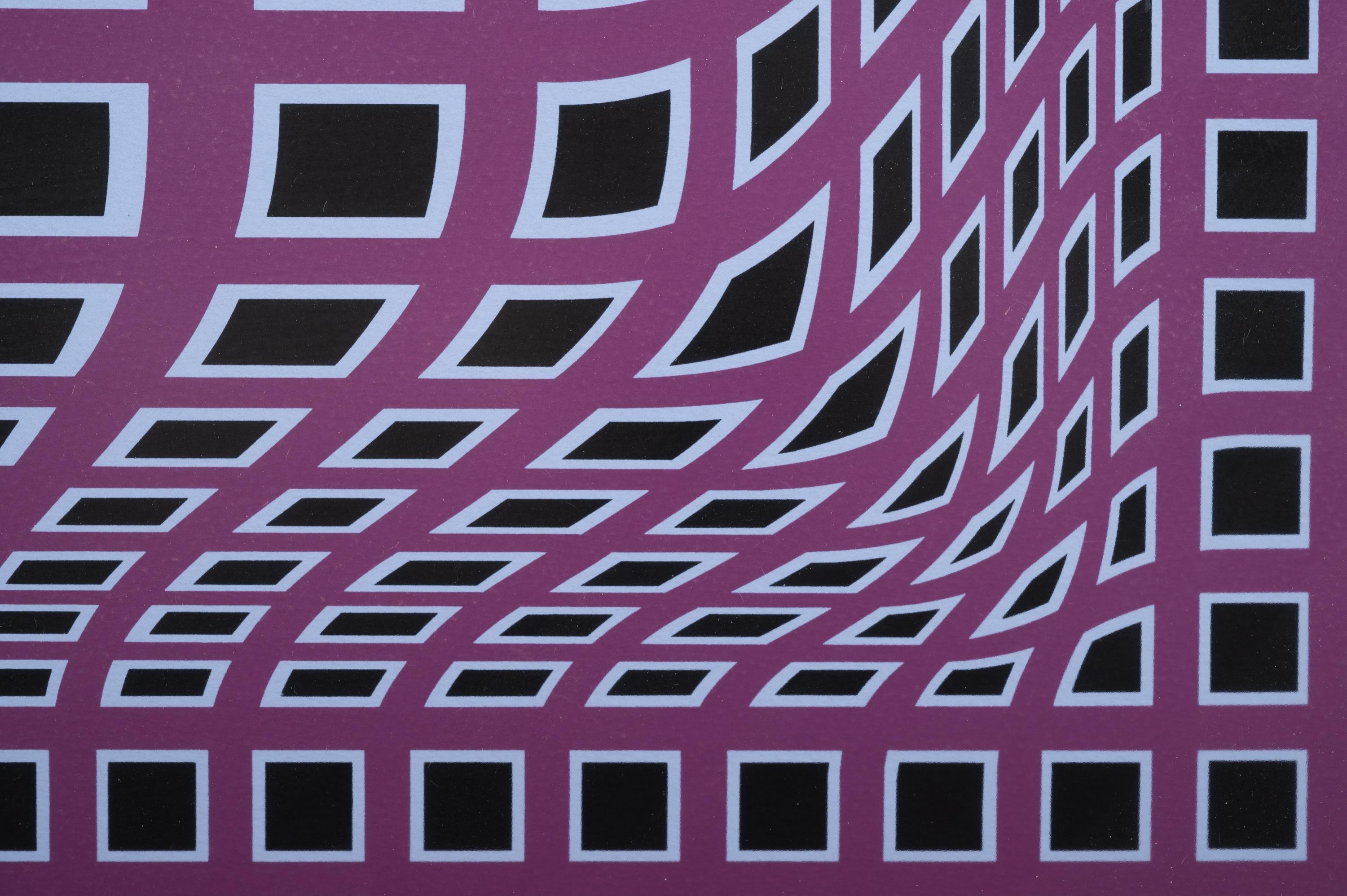 Untitled Op Art Composition