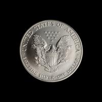 A Large Collection of One Thousand Silver Eagle $1 Coins