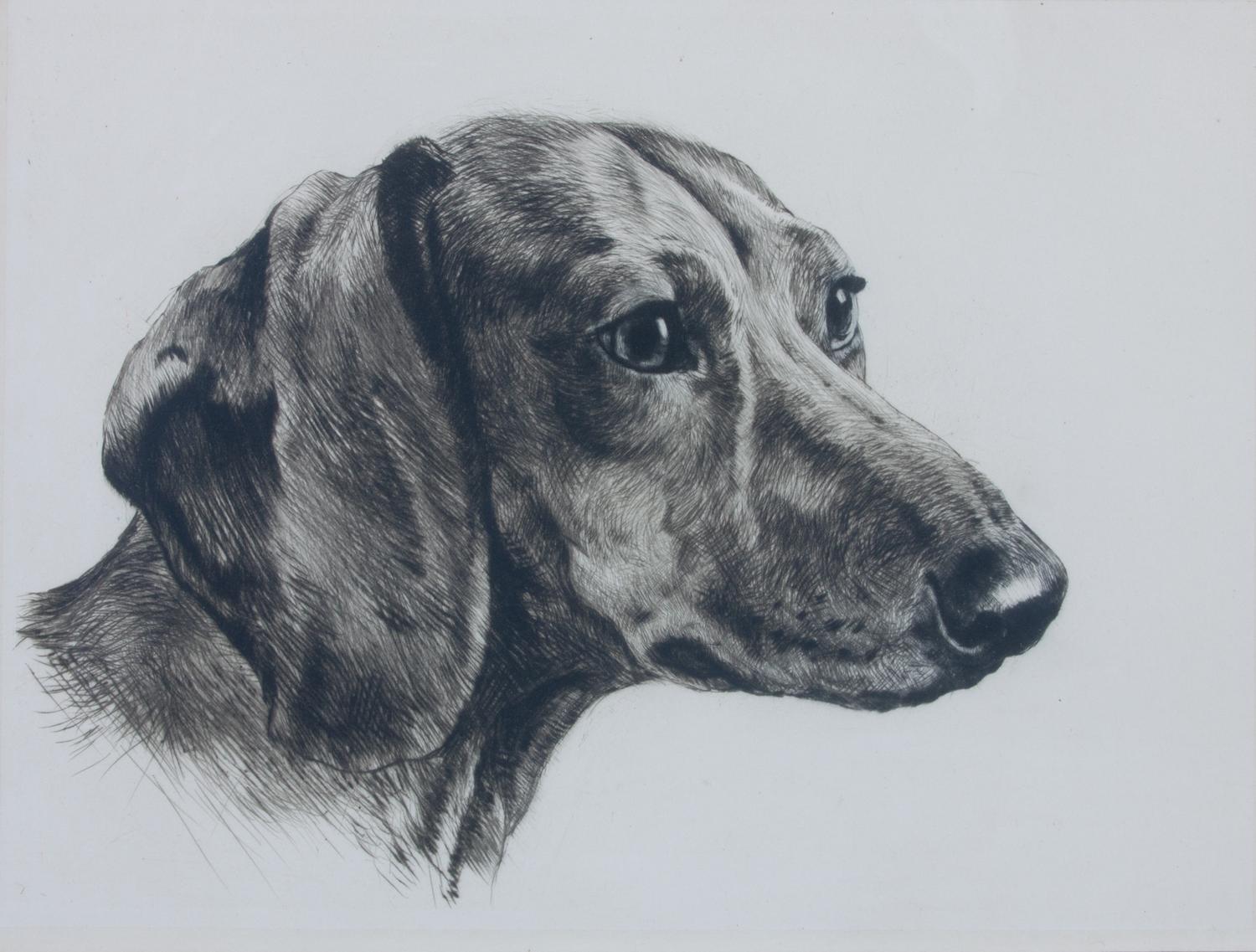 A Set of Three Dog Engravings Height of largest frame 16 x width 20 inches.