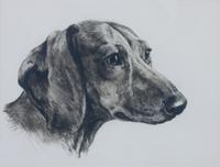 A Set of Three Dog Engravings Height of largest frame 16 x width 20 inches.