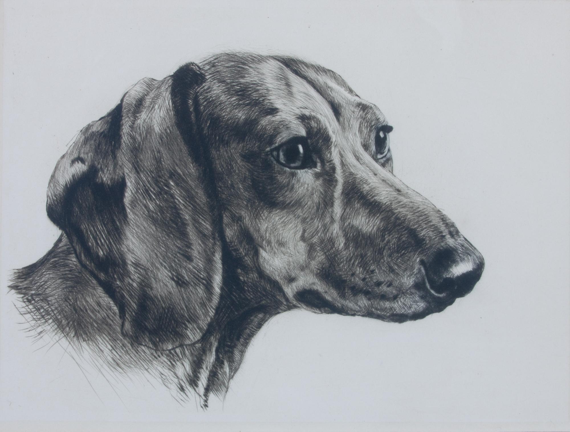 A Set of Three Dog Engravings Height of largest frame 16 x width 20 inches.