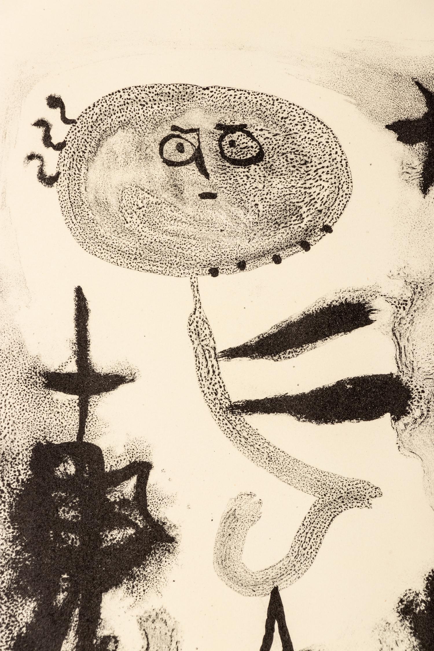 Plate I and Plate X from Album 13
