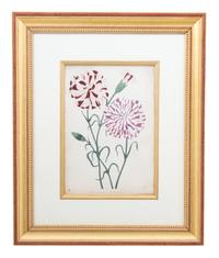 A Group of Four Hand-Colored Engravings from Sir John Paxton Framed 18 x 14 1/2 inches. — 19TH CENTURY