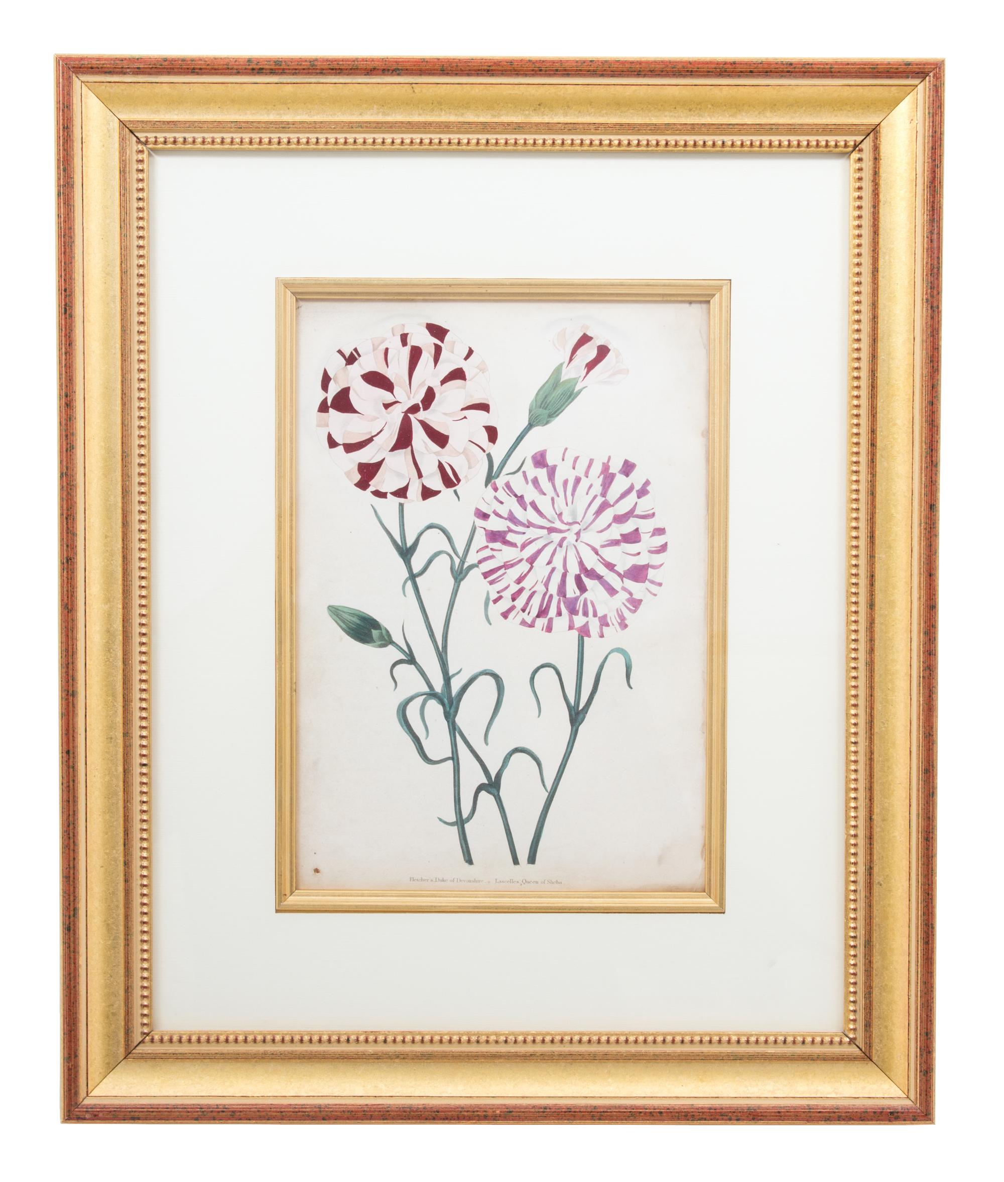 A Group of Four Hand-Colored Engravings from Sir John Paxton Framed 18 x 14 1/2 inches. — 19TH CENTURY