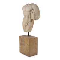 A Continental Marble Male Torso