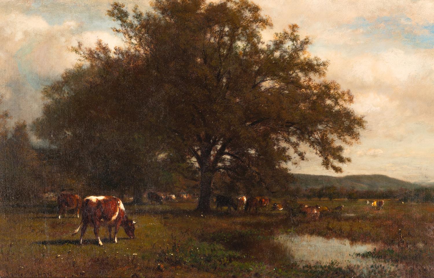 Cattle Grazing by a Pond