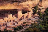 Jewel of the Past, Cliff Palace