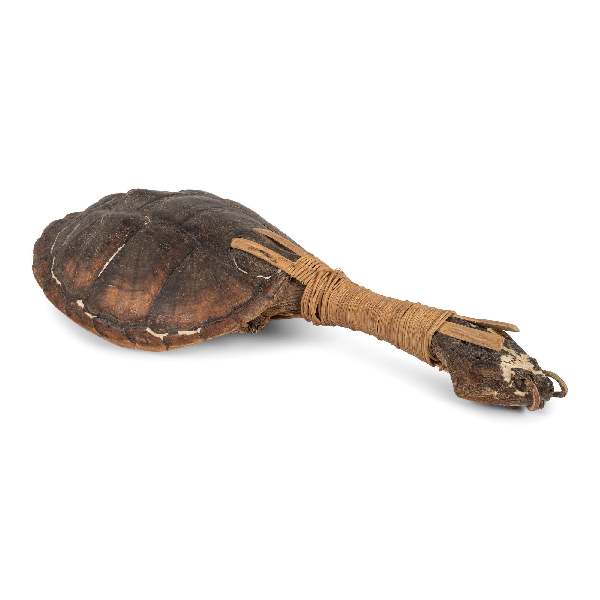 Haudenosaunee Turtle Rattle