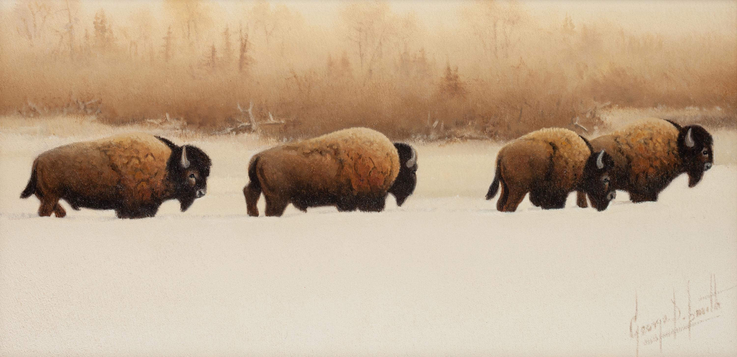 Buffalo River Bulls