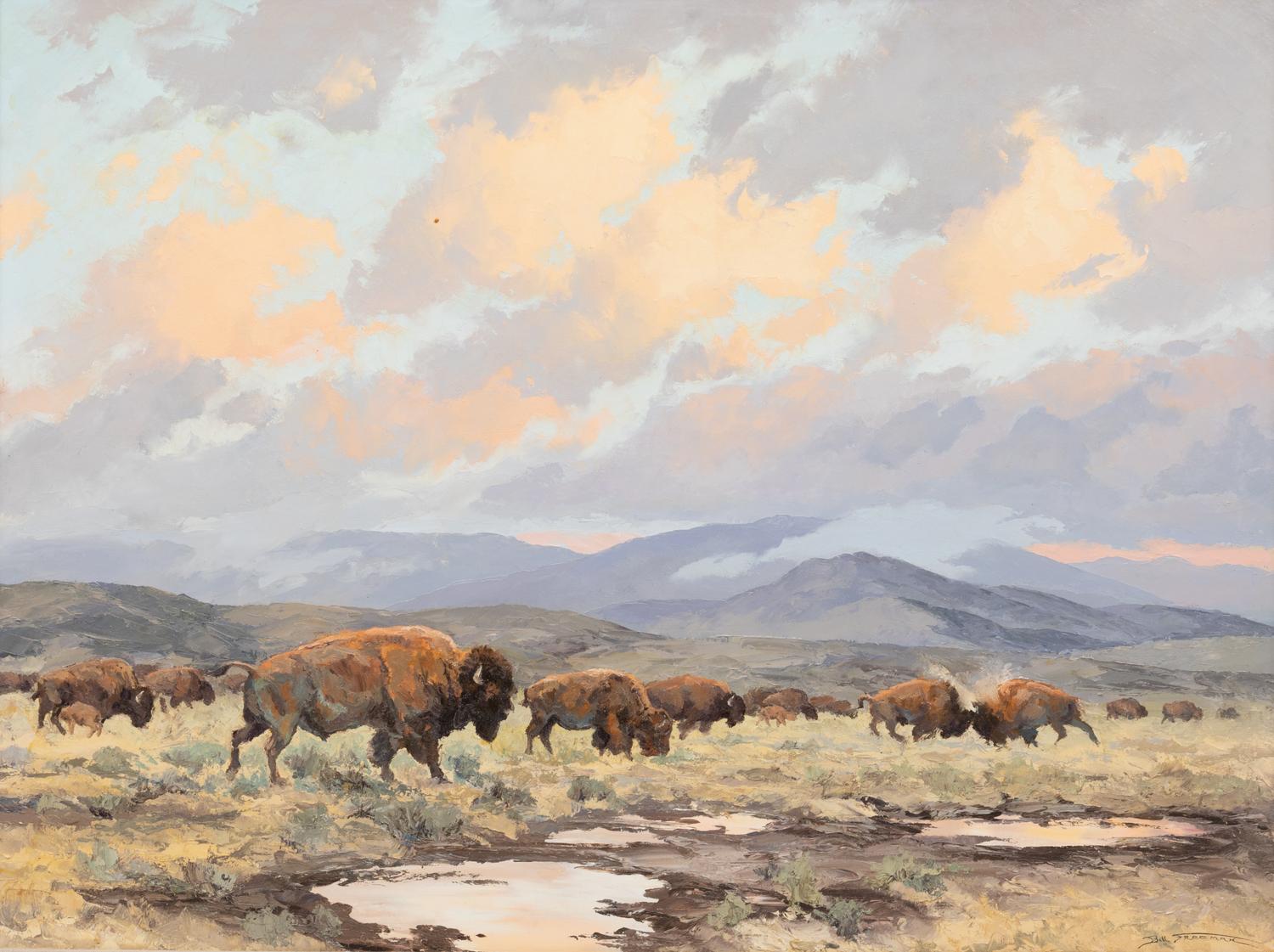 Buffalo Basin