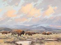 Buffalo Basin
