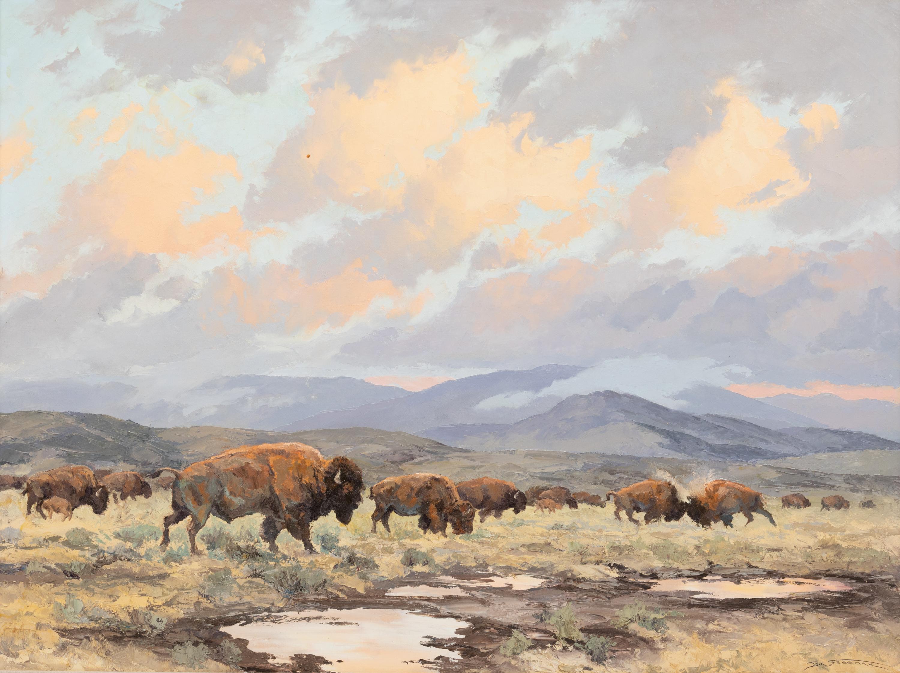 Buffalo Basin