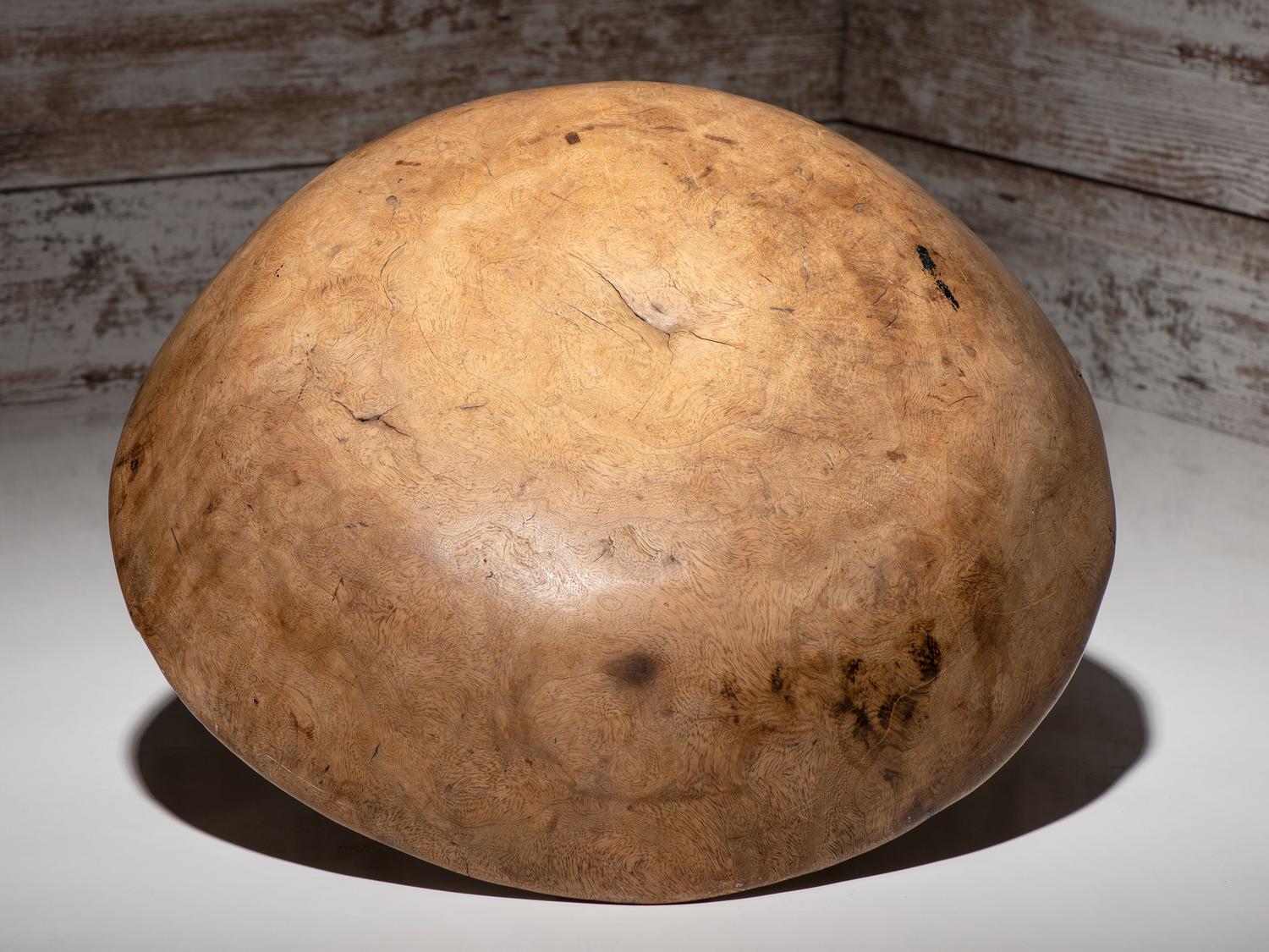 Algonquin Elm Burl Bowl
