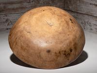 Algonquin Elm Burl Bowl