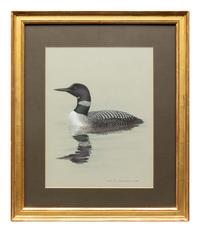 Group of Nine Works, American Bird Series, 1988