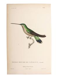 A Group of Avian and Botanical Prints