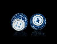 Two Chinese Blue and White Porcelain 'Floral' Snuff Bottles