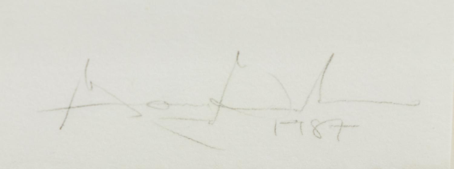 Untitled (V IV)