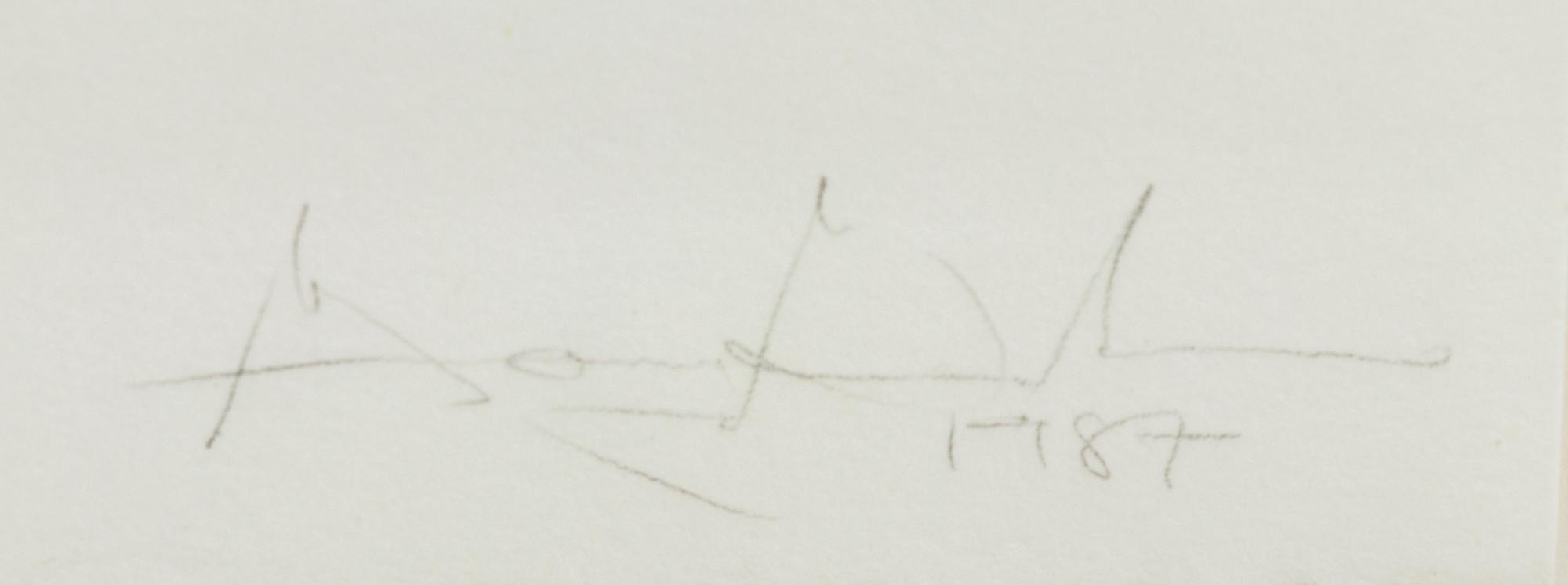 Untitled (V IV)