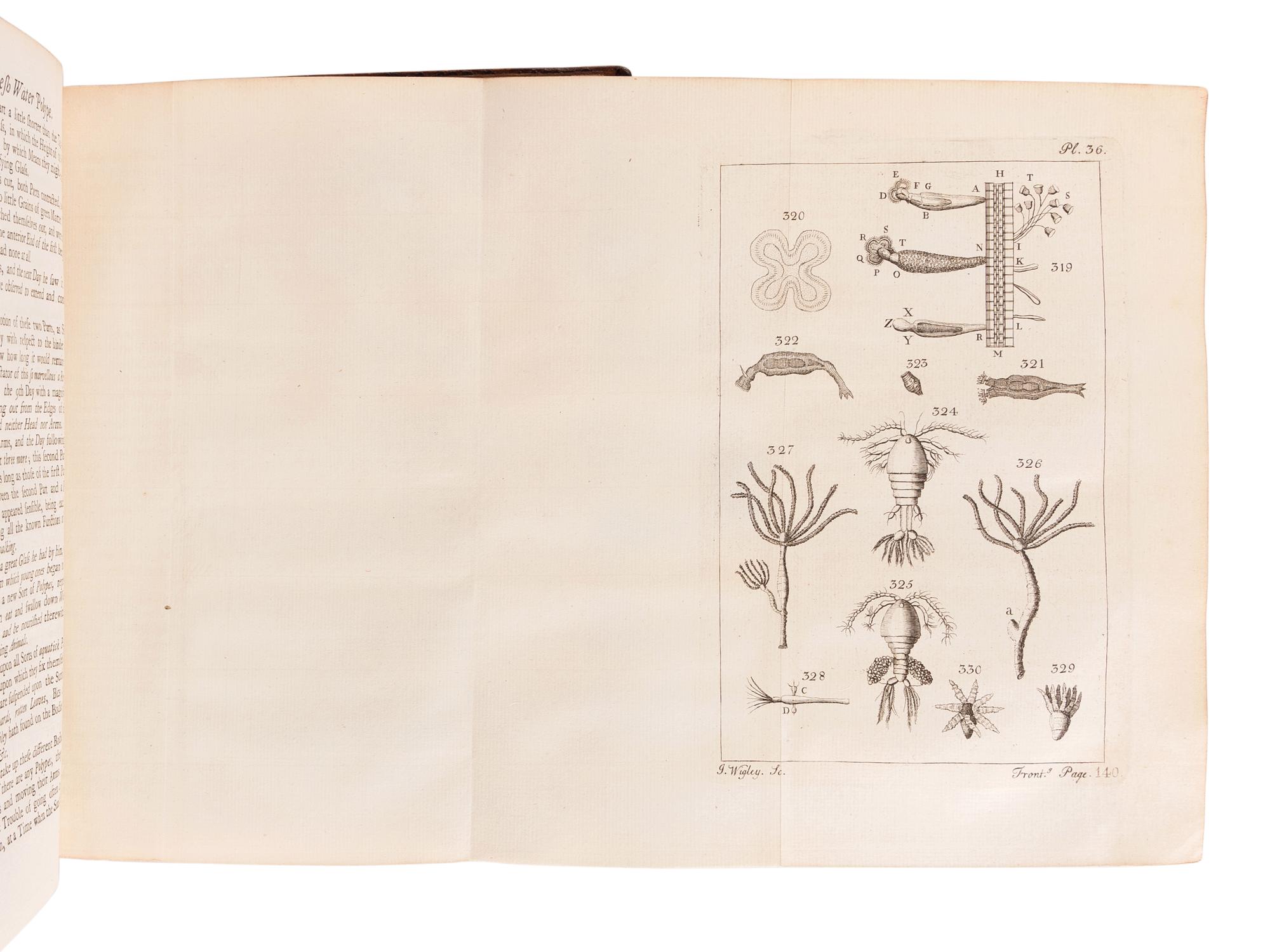 ADAMS, George (1750-1795). Micrographia Illustrata, or the Microscope Explained .... London: for the author, 1747.