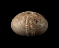 A Near Eastern Marble Mace Head
