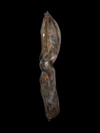 A Sukuma Hide Shield