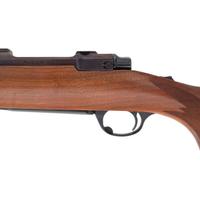 *Ruger M77 Hawkeye in .22-250